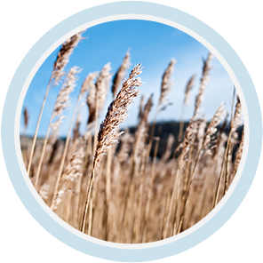 Ag亚洲集团(中国区)官方网站