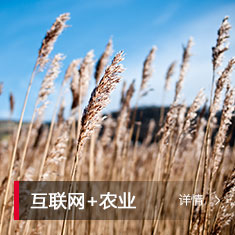 Ag亚洲集团(中国区)官方网站